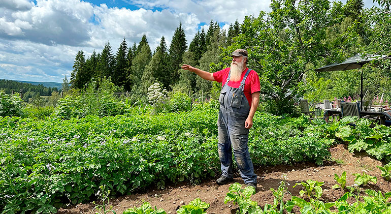 Småbrukaren Patrick Sellman står i ett av sina grönsaksfält och pekar ut mot omgivningarna.
