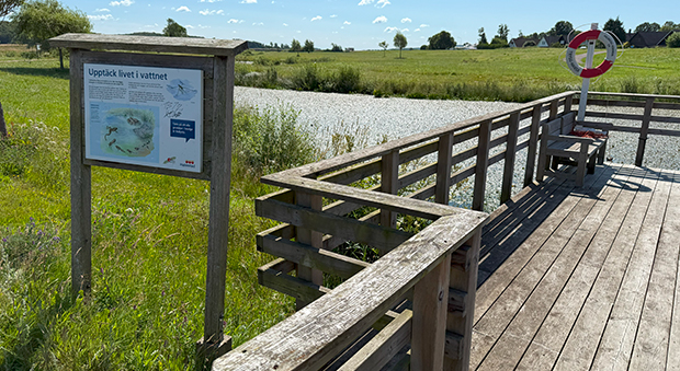 Halmstad-3.jpg